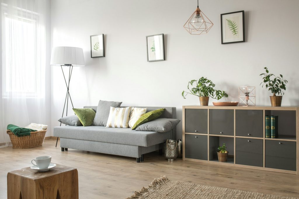 Cozy living room with sofa